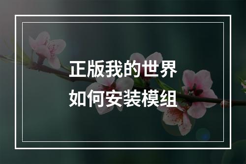 正版我的世界如何安装模组