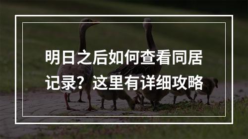 明日之后如何查看同居记录？这里有详细攻略