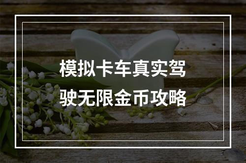 模拟卡车真实驾驶无限金币攻略