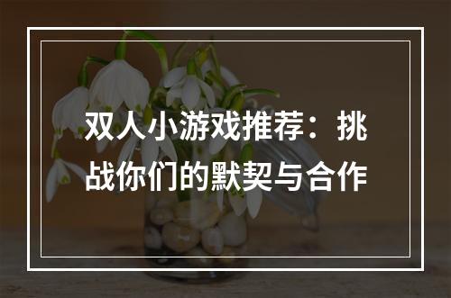 双人小游戏推荐：挑战你们的默契与合作