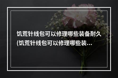 饥荒针线包可以修理哪些装备耐久(饥荒针线包可以修理哪些装备耐久的)