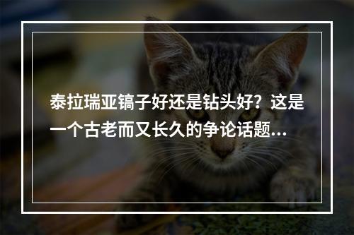 泰拉瑞亚镐子好还是钻头好？这是一个古老而又长久的争论话题。许多玩家都在疑惑，究竟应该选择哪种工具来挖