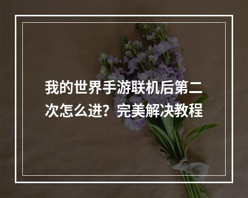 我的世界手游联机后第二次怎么进？完美解决教程