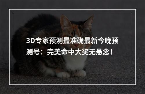 3D专家预测最准确最新今晚预测号：完美命中大奖无悬念！