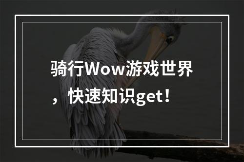 骑行Wow游戏世界，快速知识get！