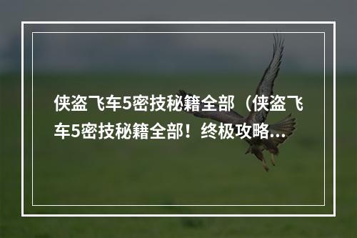 侠盗飞车5密技秘籍全部（侠盗飞车5密技秘籍全部！终极攻略来袭！）