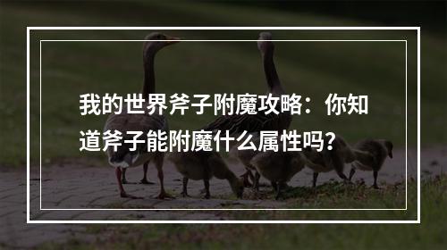 我的世界斧子附魔攻略：你知道斧子能附魔什么属性吗？