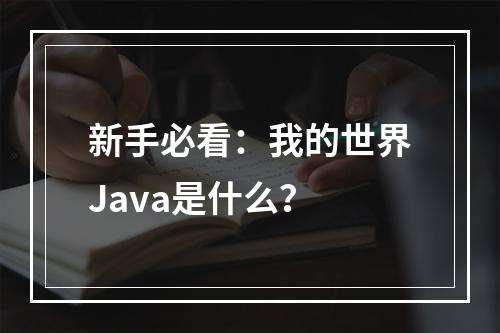 新手必看：我的世界Java是什么？