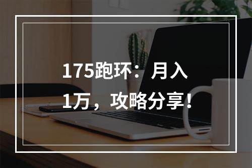 175跑环：月入1万，攻略分享！