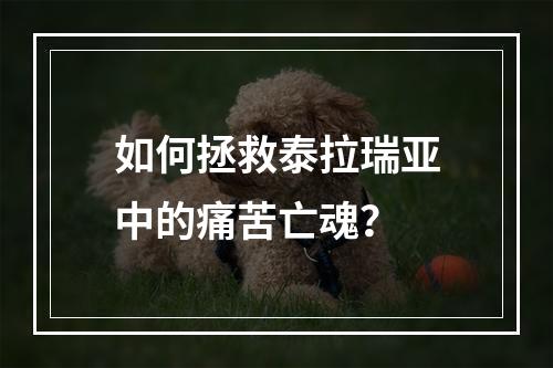 如何拯救泰拉瑞亚中的痛苦亡魂？