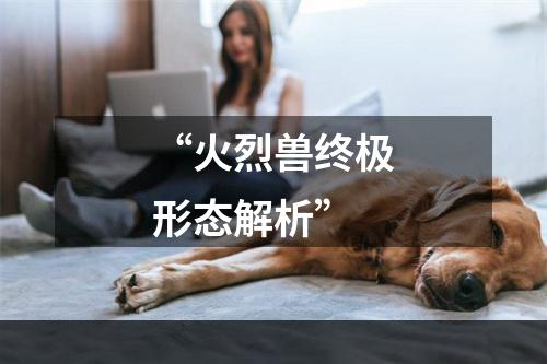 “火烈兽终极形态解析”