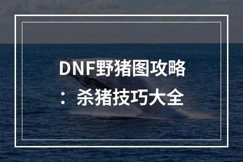 DNF野猪图攻略：杀猪技巧大全