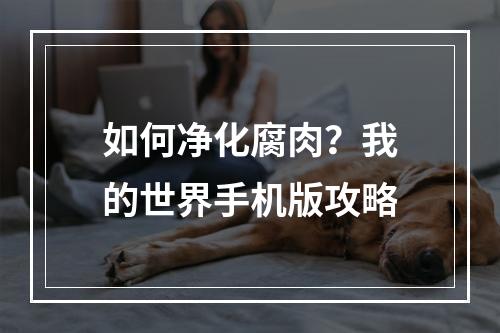 如何净化腐肉？我的世界手机版攻略