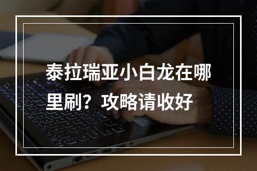 泰拉瑞亚小白龙在哪里刷？攻略请收好