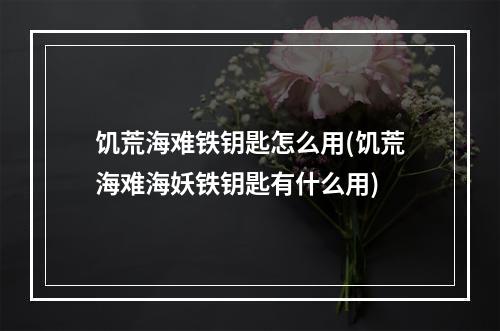 饥荒海难铁钥匙怎么用(饥荒海难海妖铁钥匙有什么用)