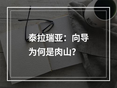 泰拉瑞亚：向导为何是肉山？