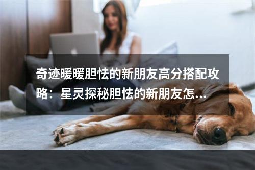 奇迹暖暖胆怯的新朋友高分搭配攻略：星灵探秘胆怯的新朋友怎么搭配？[视频][多图]--手游攻略网