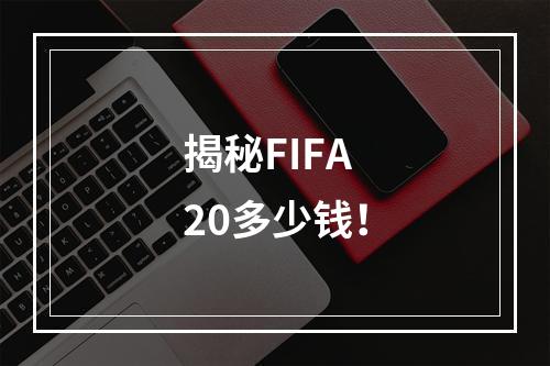 揭秘FIFA20多少钱！