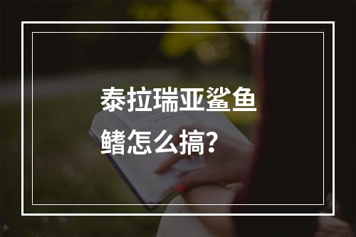 泰拉瑞亚鲨鱼鳍怎么搞？