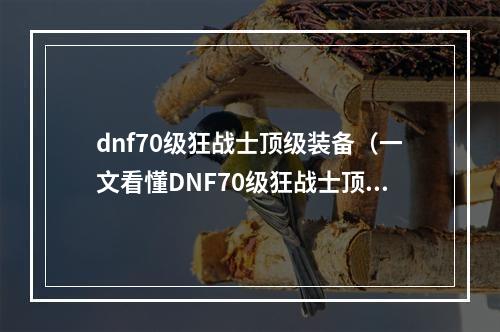 dnf70级狂战士顶级装备（一文看懂DNF70级狂战士顶级装备攻略）