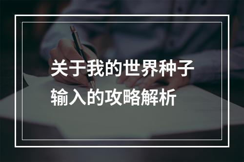 关于我的世界种子输入的攻略解析