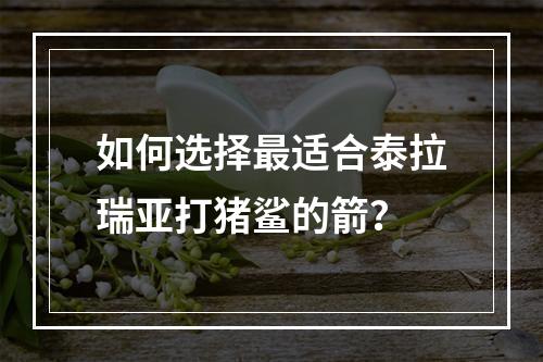 如何选择最适合泰拉瑞亚打猪鲨的箭？