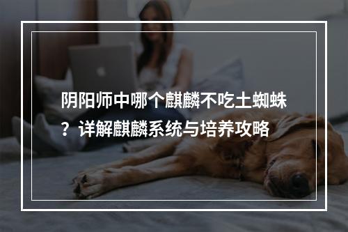 阴阳师中哪个麒麟不吃土蜘蛛？详解麒麟系统与培养攻略