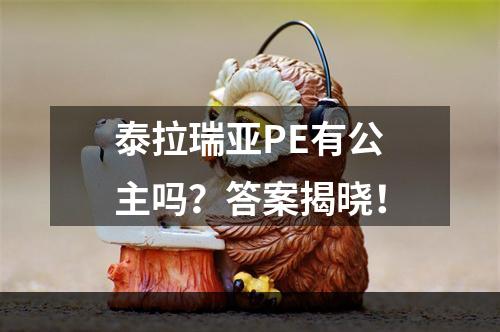 泰拉瑞亚PE有公主吗？答案揭晓！