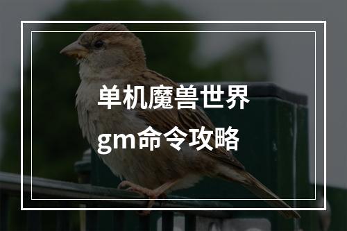 单机魔兽世界gm命令攻略