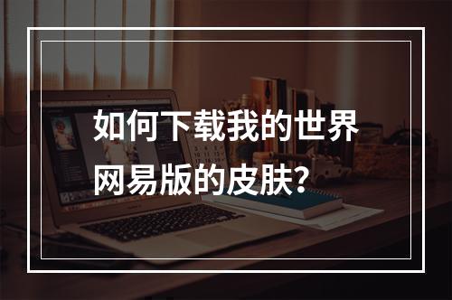 如何下载我的世界网易版的皮肤？