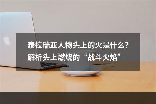 泰拉瑞亚人物头上的火是什么？解析头上燃烧的“战斗火焰”