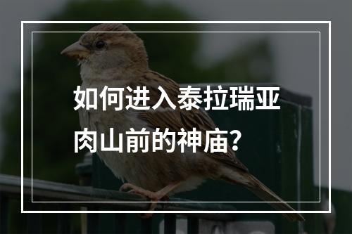 如何进入泰拉瑞亚肉山前的神庙？