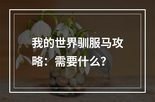 我的世界驯服马攻略：需要什么？