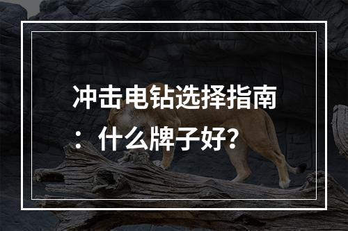 冲击电钻选择指南：什么牌子好？