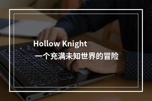 Hollow Knight 一个充满未知世界的冒险