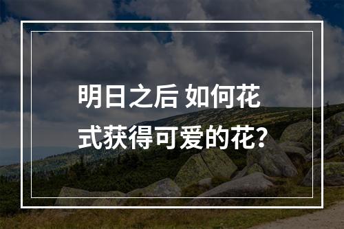 明日之后 如何花式获得可爱的花？