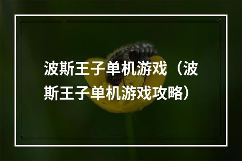 波斯王子单机游戏（波斯王子单机游戏攻略）