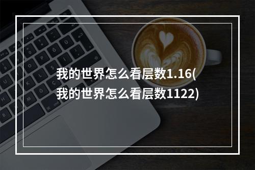 我的世界怎么看层数1.16(我的世界怎么看层数1122)