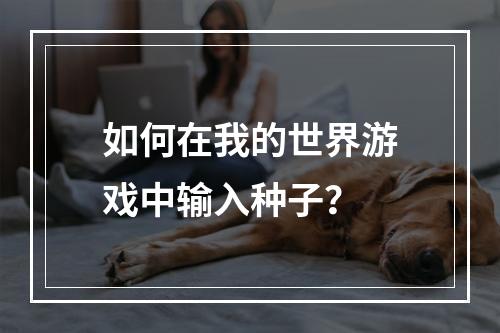 如何在我的世界游戏中输入种子？