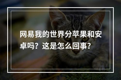 网易我的世界分苹果和安卓吗？这是怎么回事？