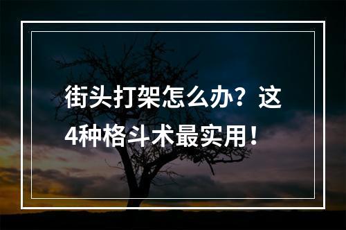 街头打架怎么办？这4种格斗术最实用！