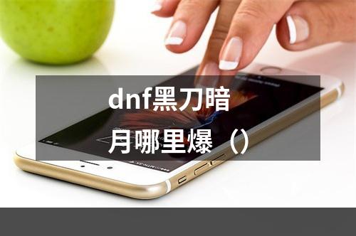 dnf黑刀暗月哪里爆（）