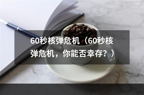 60秒核弹危机（60秒核弹危机，你能否幸存？）