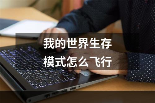 我的世界生存模式怎么飞行