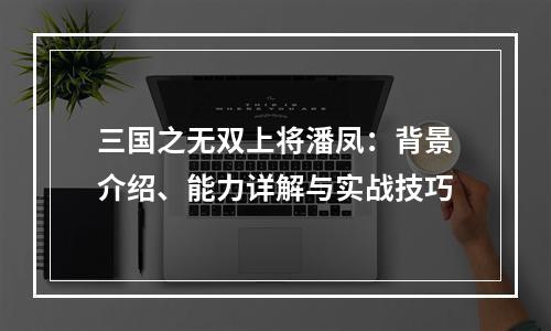 三国之无双上将潘凤：背景介绍、能力详解与实战技巧