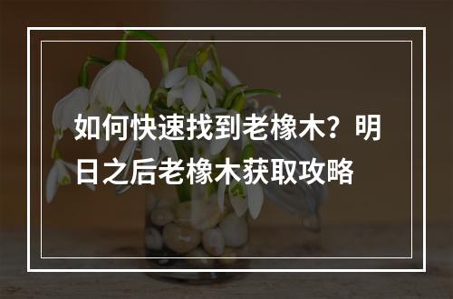 如何快速找到老橡木？明日之后老橡木获取攻略