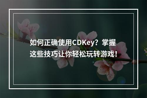 如何正确使用CDKey？掌握这些技巧让你轻松玩转游戏！