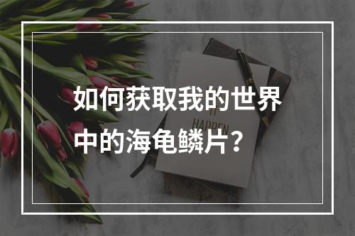 如何获取我的世界中的海龟鳞片？