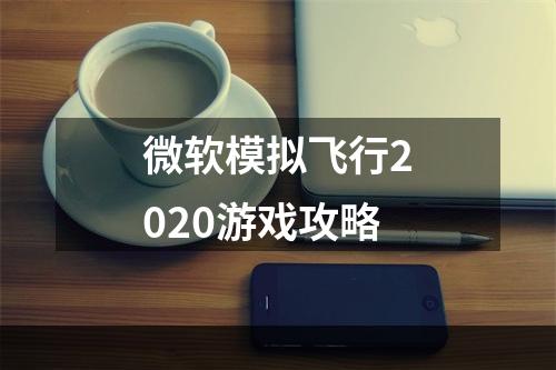 微软模拟飞行2020游戏攻略