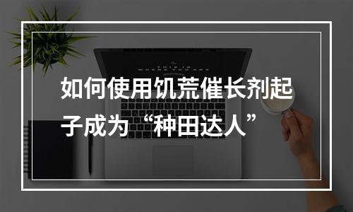 如何使用饥荒催长剂起子成为“种田达人”